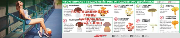 индика Майский