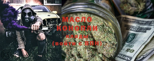гидра Горняк