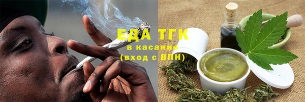 гидра Горняк