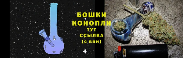 гидра Горняк