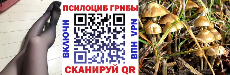 omg рабочий сайт  где найти наркотики  Джанкой  маркетплейс Telegram  Псилоцибиновые грибы GOLDEN TEACHER 