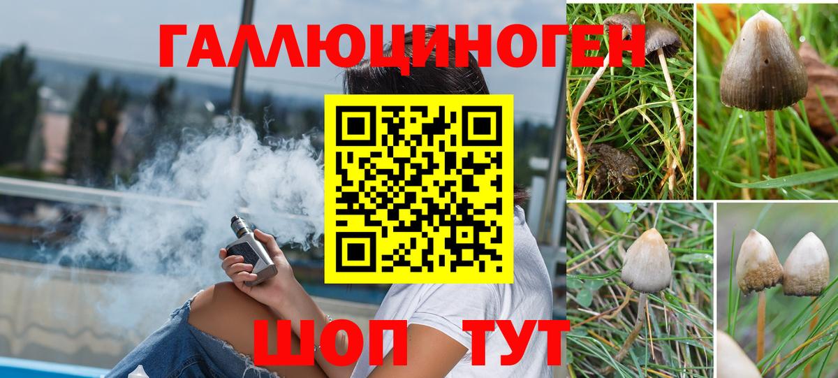 Псилоцибиновые грибы GOLDEN TEACHER Джанкой